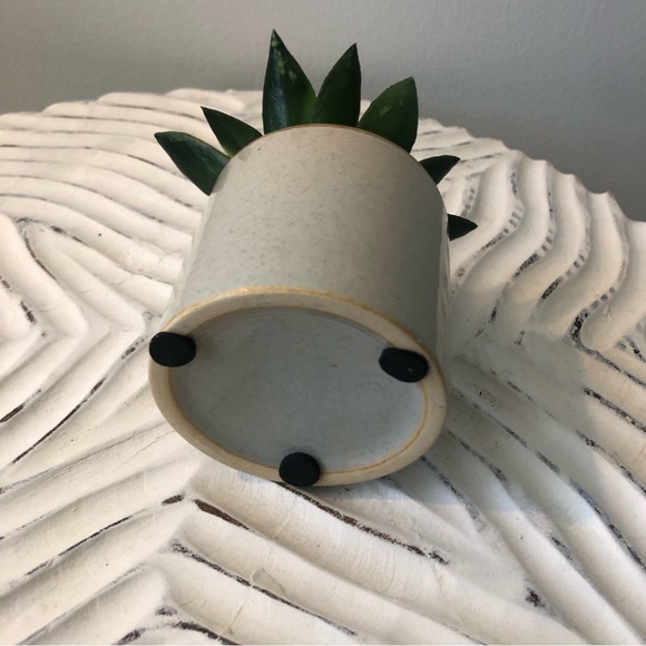 Mini Potted Faux Succulent - Small Artificial Succulent in Ceramic Pot - Picture 5 of 9